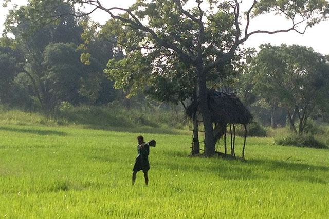 Cycling in Sigiriya, Cycling in Sri Lanka, Tours in Sri Lanka, Cycling Experience Sri Lanka, Cycle Tours Sri Lanka, Cycle Tours Sigiriya, Cycling Tour in Sri Lanka, Cycling Experience