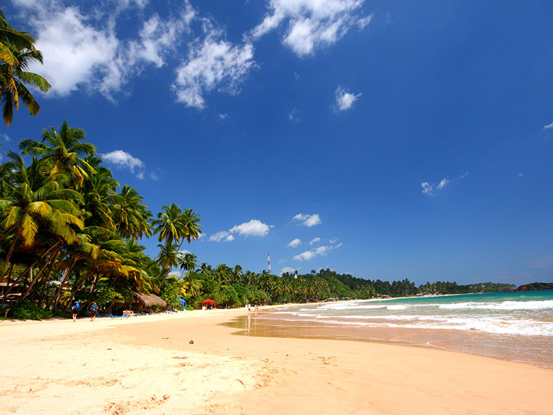 Mirissa Beach in Sri Lanka - Beach Destinations in Sri Lanka - Sri Lanka Beach Destinations - Sri Lanka Beaches - Beach Hotels in Mirissa - Mirissa Beach Hotels - Things to do in Mirissa - Mirissa Beach Stay